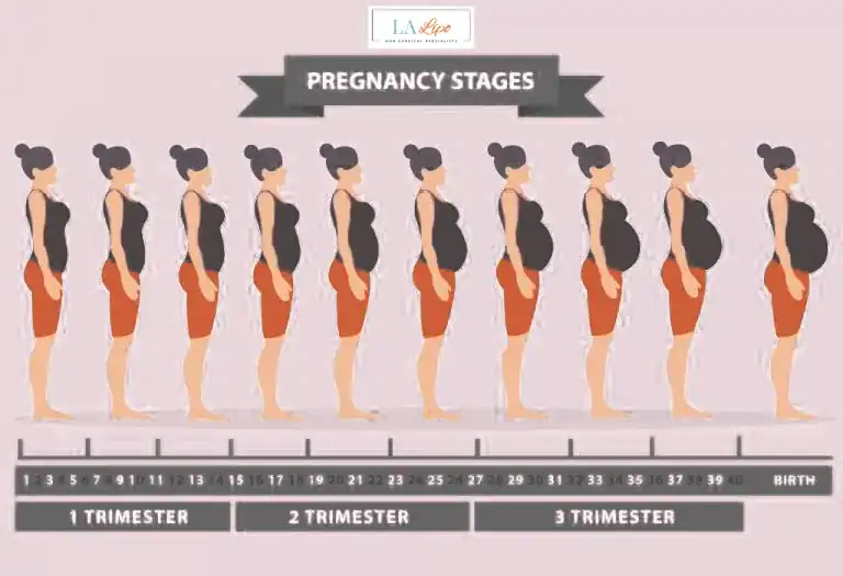 First Trimester (Weeks 1–12): Early Changes You Might Not Notice Dunchurch